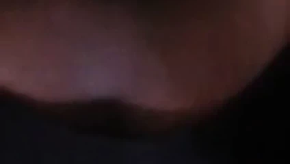 O mükemmel bir domuzcuk