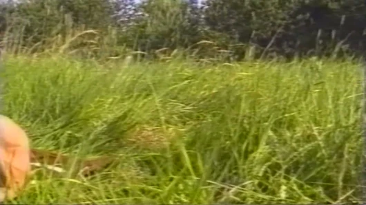 Azgın esmer hatunla açık havada vahşi seks parmaklıyor ve sikişiyor
