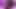 Jolie sürüye ve tohumlanıyor