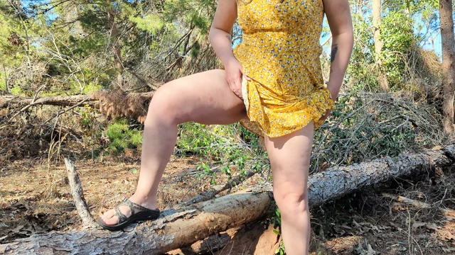 Otobanın yanında gizli çiş