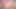 Pembe saçlı Japon hizmetçinin agresif cazibesi blushing temptation