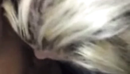 Çarpıcı muhteşem sarışın berbat bir bbc sırılsıklam