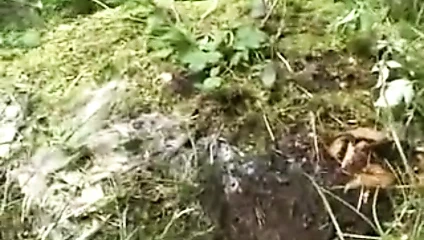 Alman piçler #2 - tam film -b$r