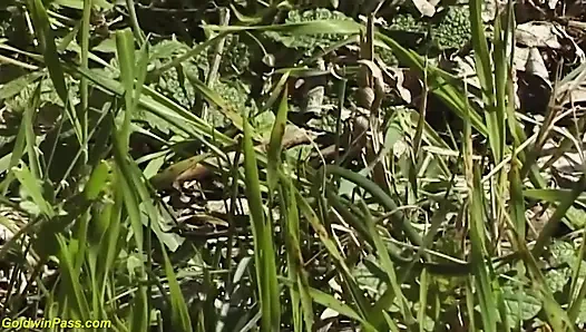 Kıllı çalı sıska Alman kız sert büyük yarak açık havada sikiliyor