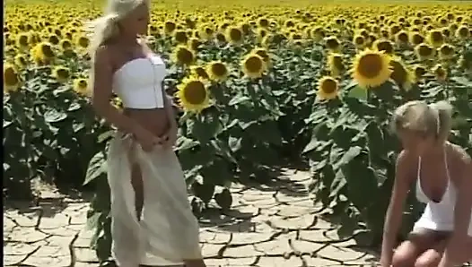 Muhteşem sarışınlar mısır tarlasında oynuyor