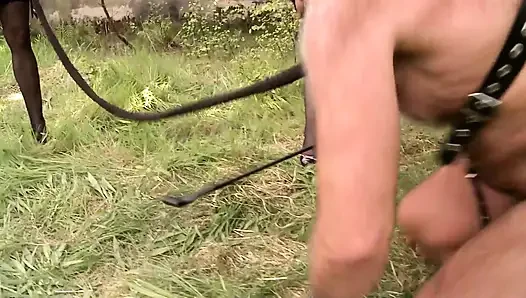 İtaatkar Köle Itaati açık Havada