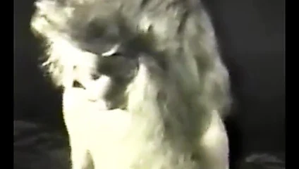 Benim ... ne kadar kalın bir horozun var