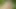 Vixi Rafi ücretsiz fotoğraf çekimi teklifi sonrası sert sikiliyor - teenmegaworld