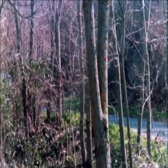 7. hücre bloğundaki kadınlar