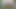 tek parça kız kavgasında doğal karıcık