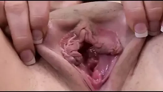 Büyük kabarık kedi