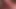 vid31