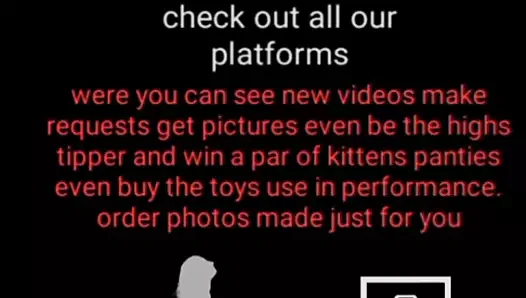 babakurt ve yavru kedi