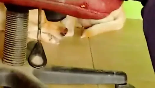 Esta buena mi vecina