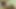 Çılgın psikopat sahibenin anal kölesi!