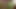 Ev yapımı pov seks videosu - seksi milf yaşlı adamı iki kez cum yapar