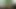 Üvey erkek kardeş ve üvey kız kardeş viral seks videoları