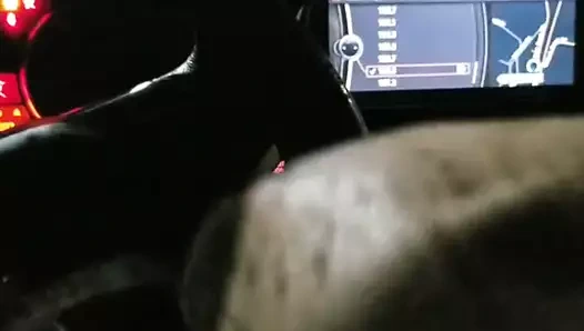 Stlcyn emme horoz içinde kamu