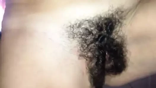 Inculata