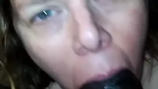 Siyah horoz için rhe beyaz kaltak