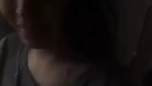 sevimli Asya sikikleri