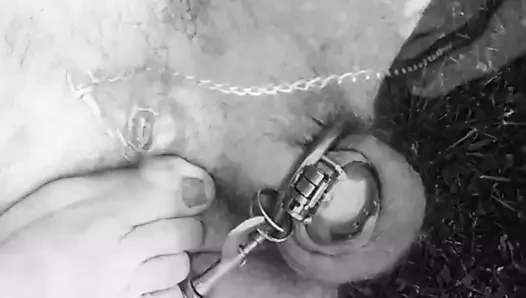 Promenade en cage dans le jardin