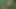 Sevimli küçük sarışın fahişe gölde teknede sopa yarağına biniyor