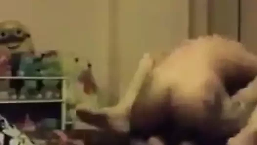 Azgın amatör sürtük 312