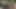 Edepsiz araba satıcısı, indirim için sikiliyor!