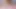 Video. Güzel Sundaneseli üniversite öğrencisinin pembe amını sikiyor