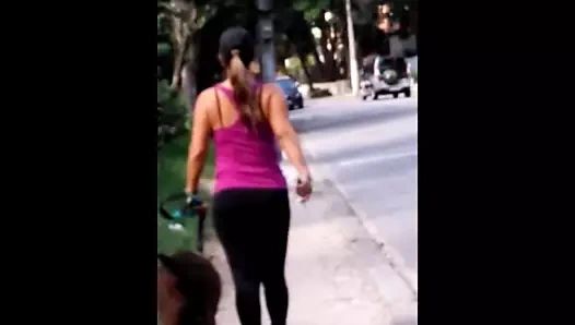 A gata e  o cachorro