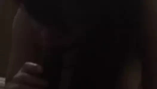 Büyük baştankara çinli rahatlatıcı kafa