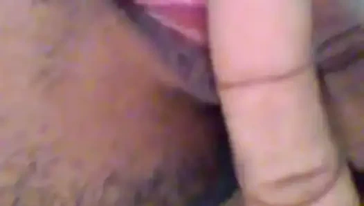 Sanka gayan - sri lankalı paiya