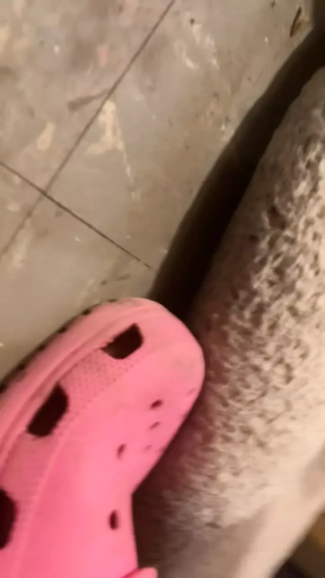 Yalnız ve sıkılmış