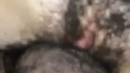 daha fazla köpek ve anal ile benim kıllı kız arkadaşım