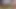 Mayolu flört eden Asyalı genç kız yaşlı beyaz fotoğrafçıyla ateşli fotoğraflar çekiyor