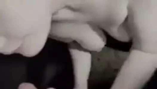 Sıcak kız arkadaş verir onu bir oral seks