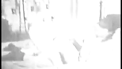 Bir esmer fahişe berbat bir horoz ve sikikleri bir eski okul züppe