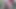 snap