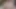 Horny lesbian orgy sharing strapon