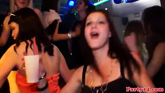 amatör euro parti babes kamu delme