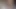 İnek bir kız bulabilmek için porno yapımcısı gibi davranıyor