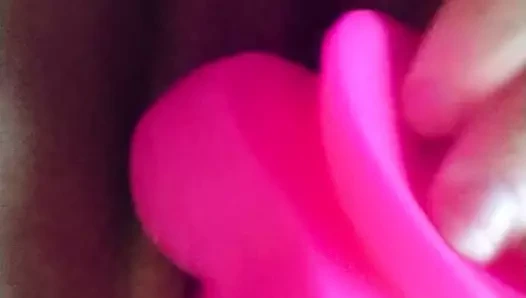 Sevimli pembe yapay penis içinde bir sevimli sıkı kedi