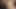 Bree olson sadece kıçından o siyah horoz istiyor