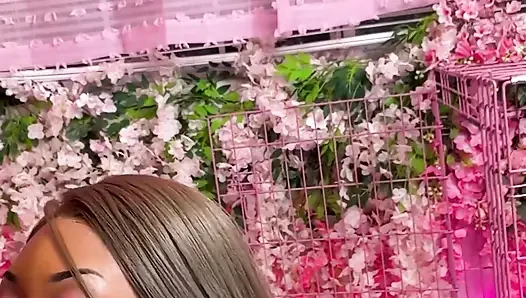 İtaatkar tatlı poppy ve lana memnun etmeyi ve işemeyi seviyor - dikey