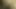 Bbc ve kıllı mexican kedi