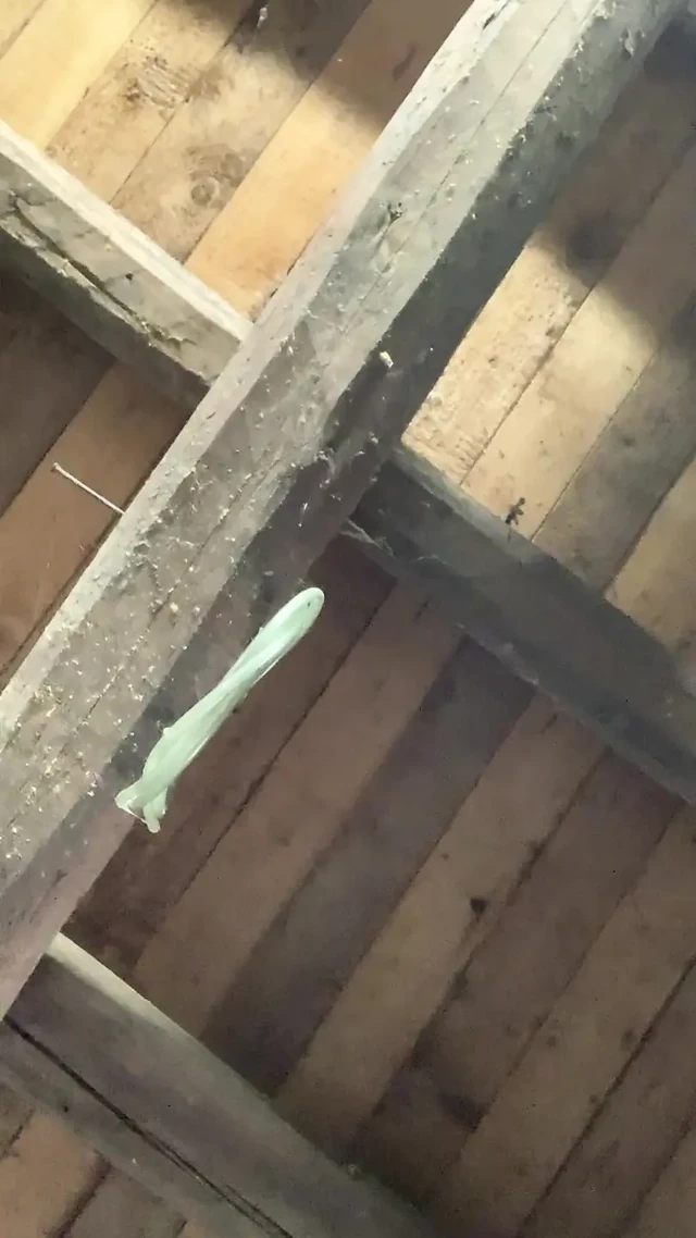 Genç ıslak amcık seni bekliyor