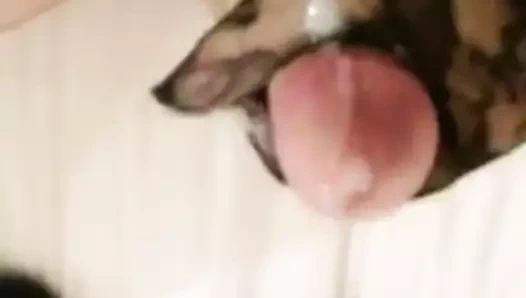 Bu işte yardıma ihtiyacım olacak.