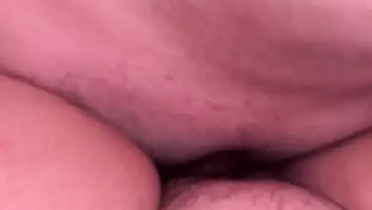 Kahrolası ona sıkı kedi