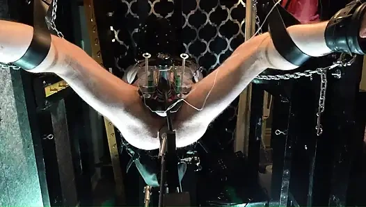 Elektro venüs yarak sağıyor ve deri sapanda makineyle sikişiyor